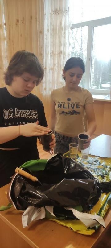 Занятия по цветоводству