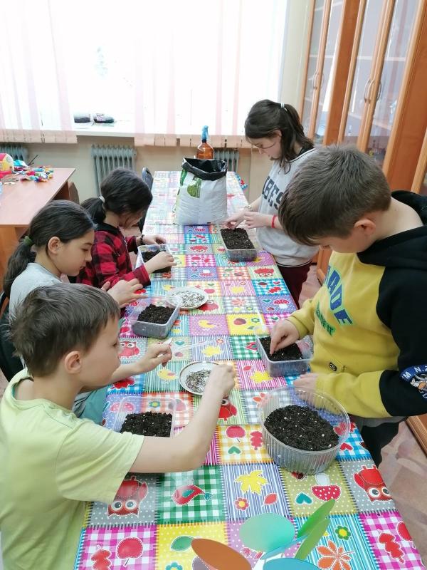 Готовимся к благоустройству территории.