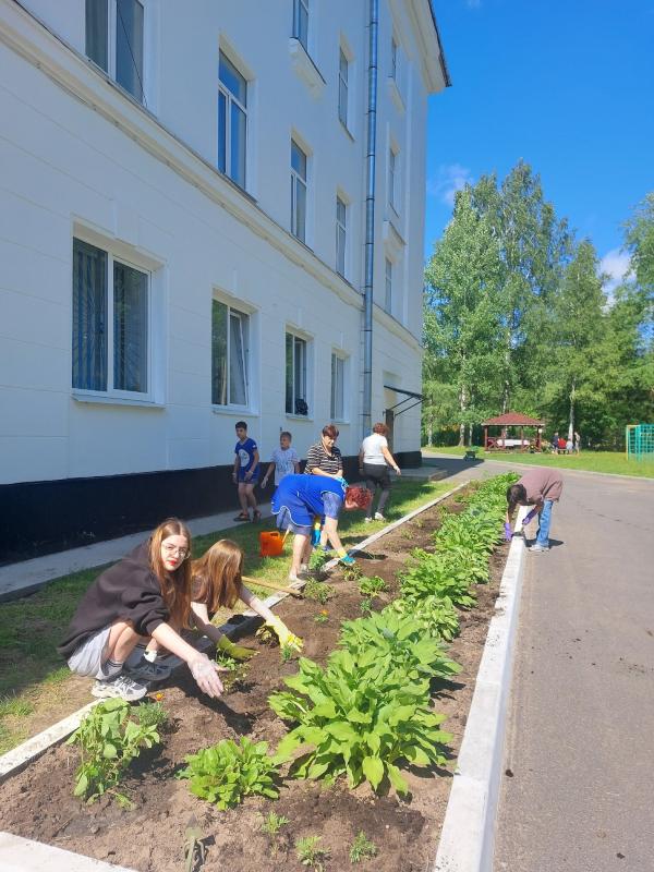 Команда заботы в действии!